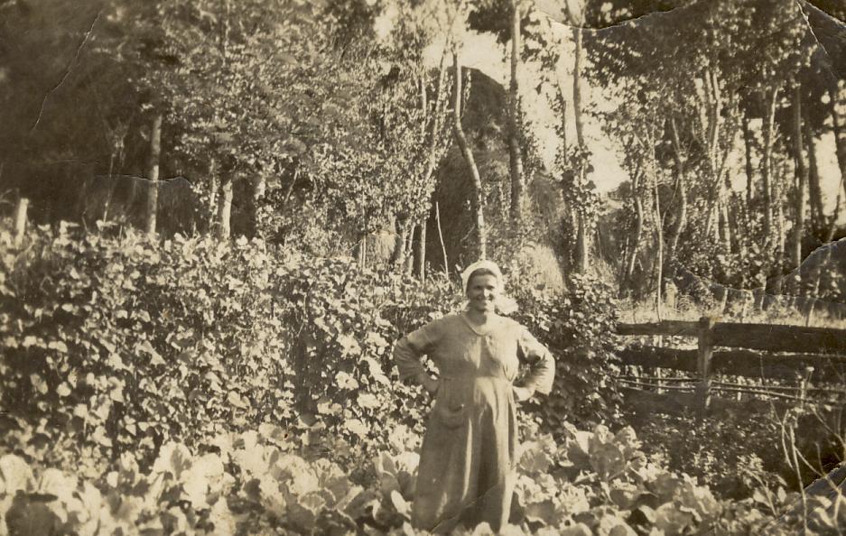 Rózsa Erzsébet